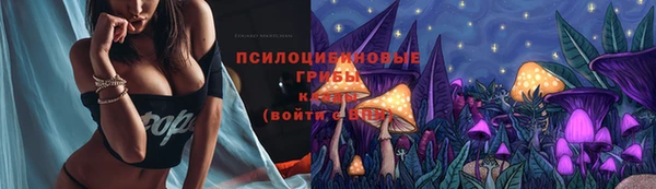 молекула духа Зеленокумск