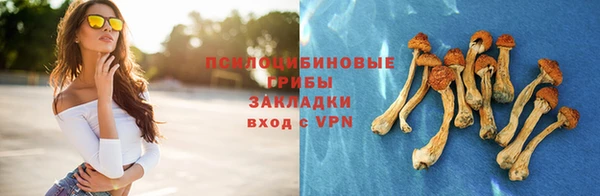 молекула духа Зеленокумск
