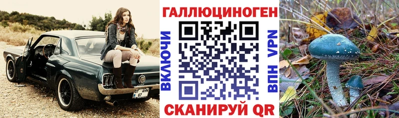 Галлюциногенные грибы Magic Shrooms  Купить закладки  Карачаевск 
